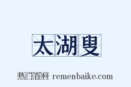太湖叟是什么意思的图片